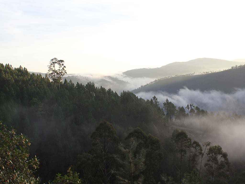 TimberImage(sliderimage).alt