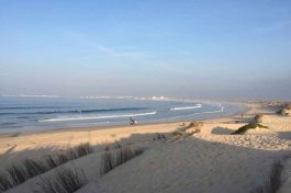 Portugalissimo - Selbstversorger Grundstücke - Lagoa de Obidos