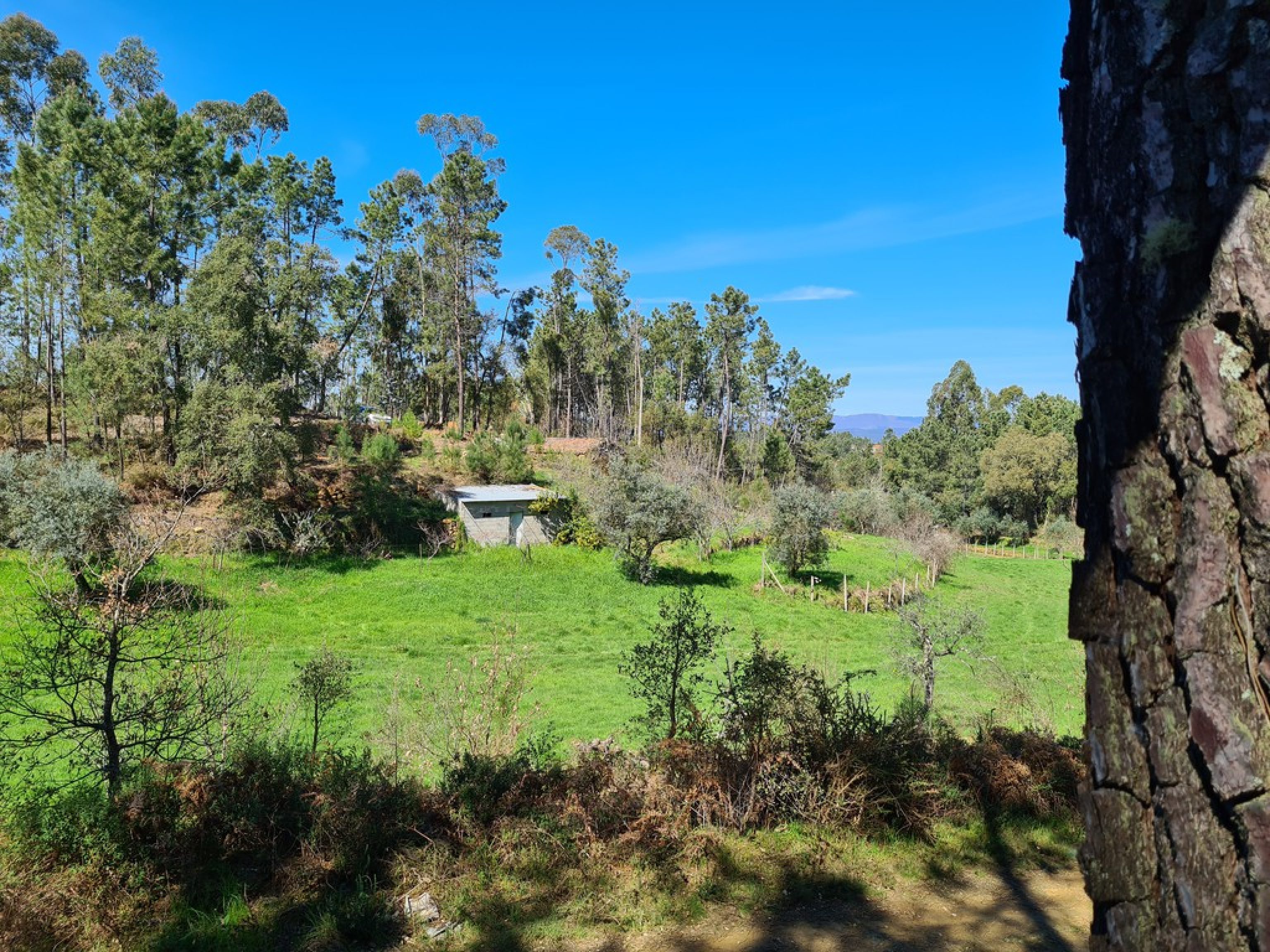 Immobilien / Grundstück kaufen in Portugal portugalissimo