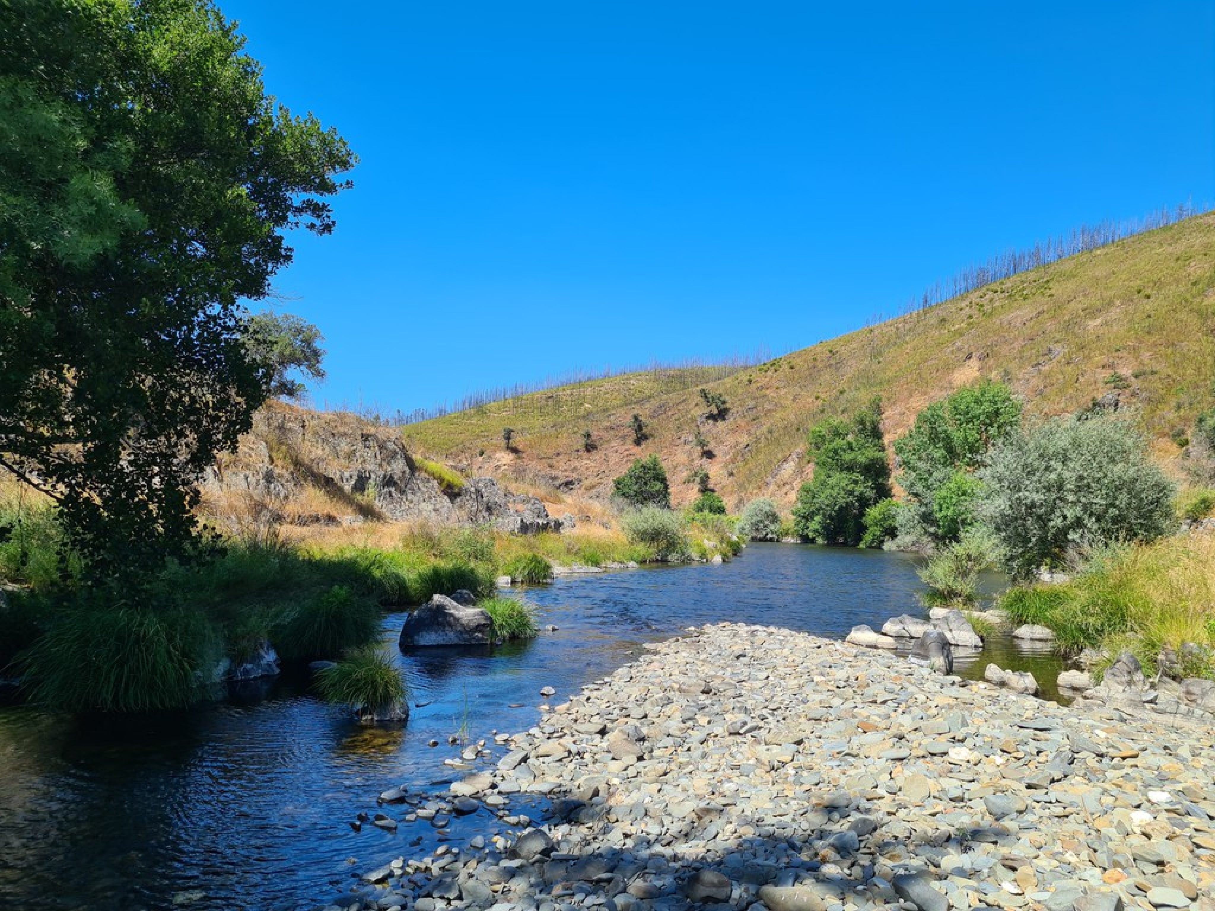 Ribeira da Isna - Selbstversorger Grundstücke - Portugalissimo